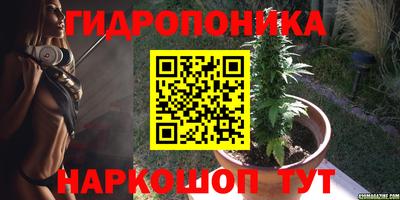МДПВ Краснознаменск