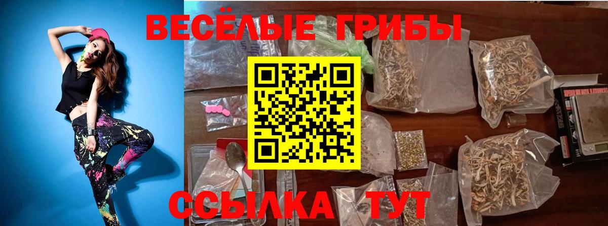 Галлюциногенные грибы MAGIC MUSHROOMS  Вход с VPN  Псилоцибиновые грибы Psilocybe  Железногорск 